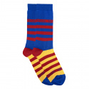 Men free spirit short socks with kodak stripes